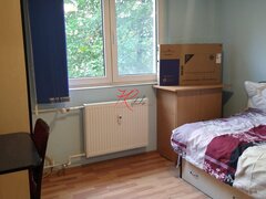 Teiul Doamnei Vanzare apartament 4 camere